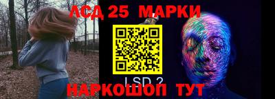 хмурый Шелехов