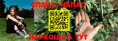 хмурый Шелехов