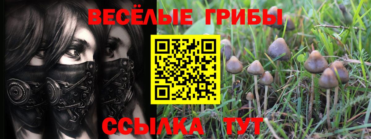 где продают   Вход с VPN  Муравленко  Псилоцибиновые грибы MAGIC MUSHROOMS 